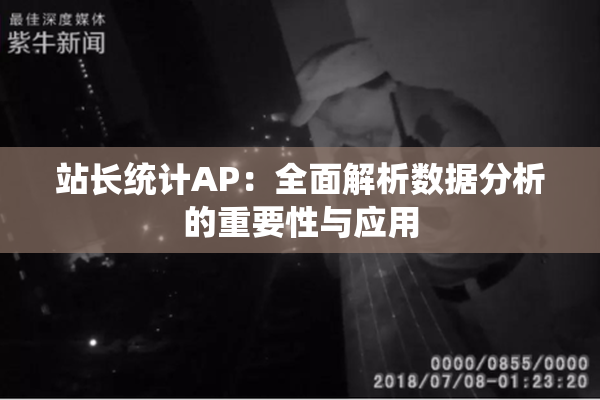 站长统计AP：全面解析数据分析的重要性与应用