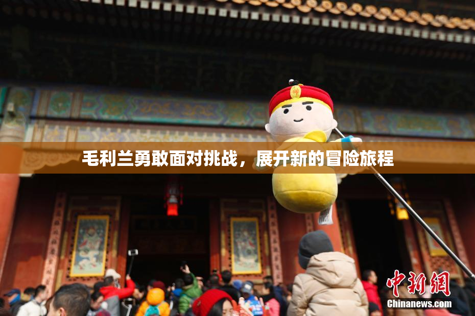 毛利兰勇敢面对挑战，展开新的冒险旅程