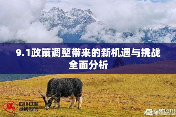 9.1政策调整带来的新机遇与挑战全面分析