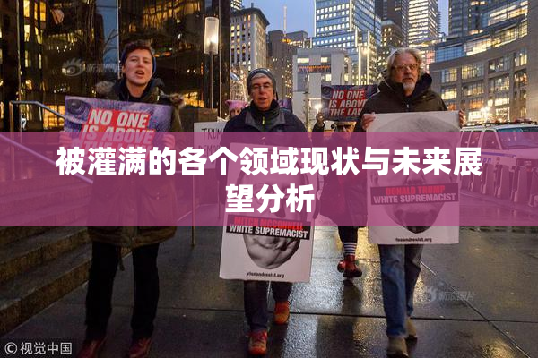 被灌满的各个领域现状与未来展望分析