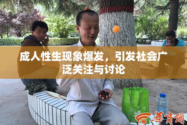 成人性生现象爆发，引发社会广泛关注与讨论