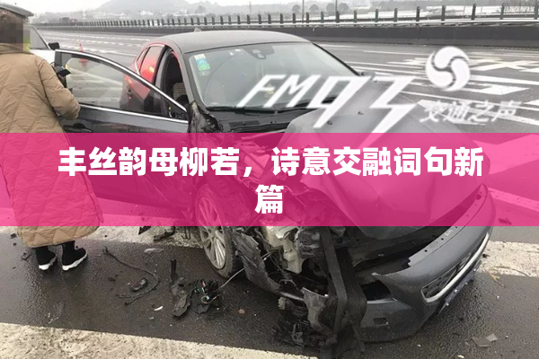丰丝韵母柳若，诗意交融词句新篇