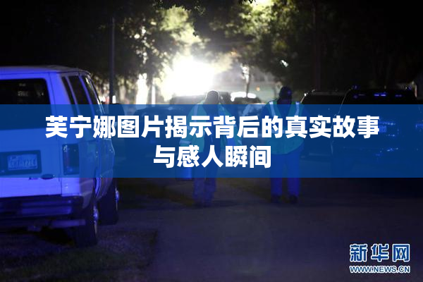 芙宁娜图片揭示背后的真实故事与感人瞬间