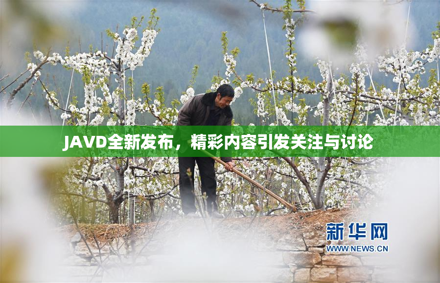 JAVD全新发布，精彩内容引发关注与讨论