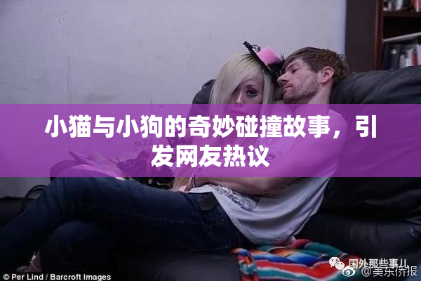 小猫与小狗的奇妙碰撞故事，引发网友热议