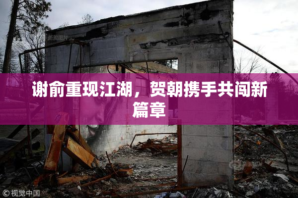 谢俞重现江湖，贺朝携手共闯新篇章