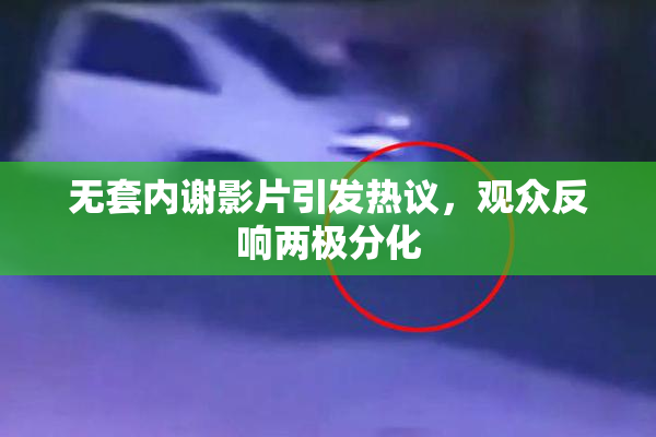 无套内谢影片引发热议，观众反响两极分化