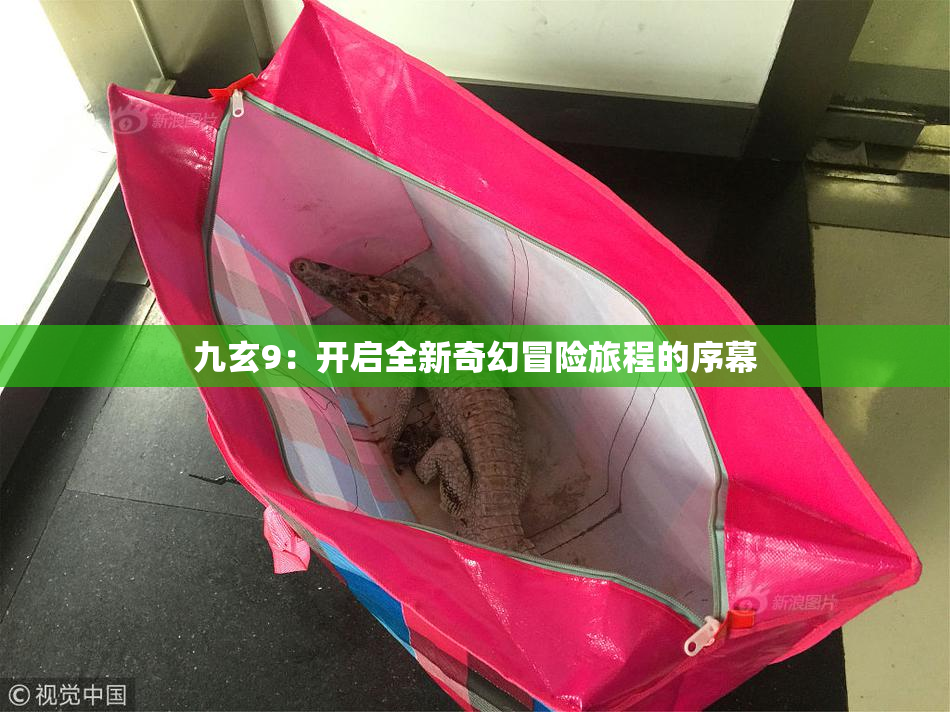 九玄9：开启全新奇幻冒险旅程的序幕