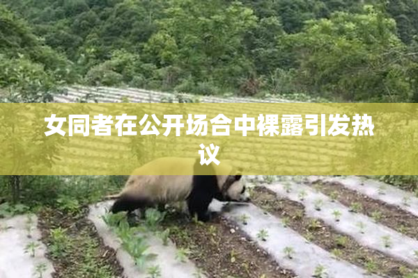 女同者在公开场合中裸露引发热议