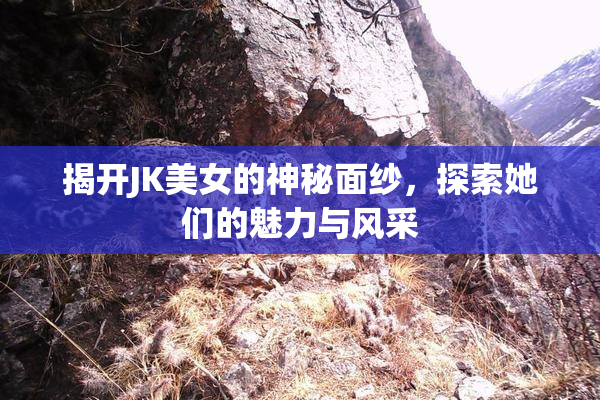 揭开JK美女的神秘面纱，探索她们的魅力与风采