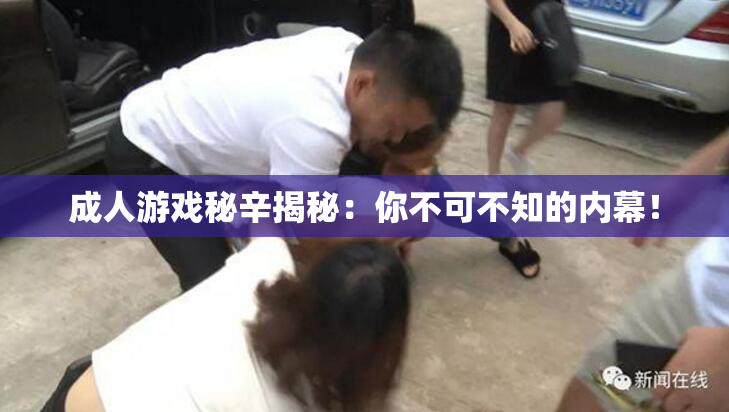 成人游戏秘辛揭秘：你不可不知的内幕！