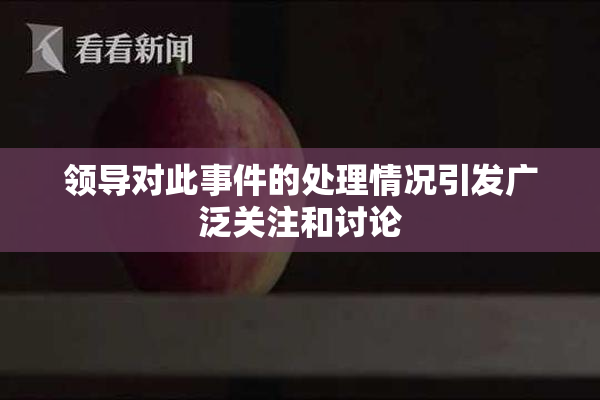 领导对此事件的处理情况引发广泛关注和讨论