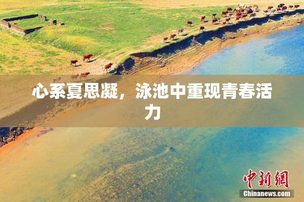 心系夏思凝，泳池中重现青春活力