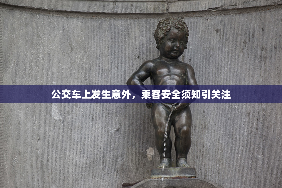 公交车上发生意外，乘客安全须知引关注