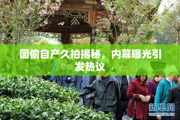国偷自产久拍揭秘，内幕曝光引发热议