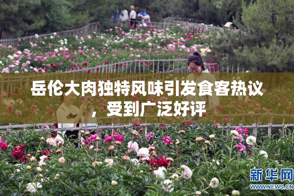 岳伦大肉独特风味引发食客热议，受到广泛好评