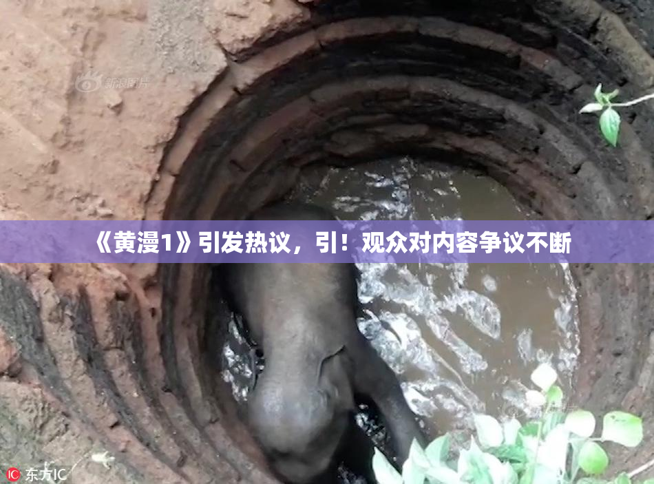 《黄漫1》引发热议，引！观众对内容争议不断