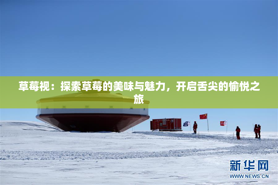 草莓视：探索草莓的美味与魅力，开启舌尖的愉悦之旅