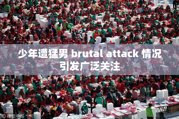 少年遭猛男 brutal attack 情况引发广泛关注