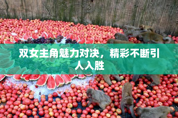 双女主角魅力对决，精彩不断引人入胜