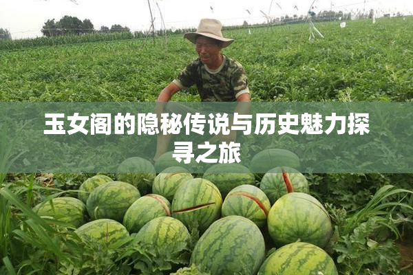 玉女阁的隐秘传说与历史魅力探寻之旅