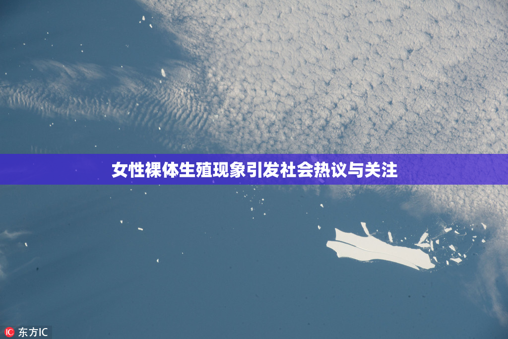 女性裸体生殖现象引发社会热议与关注