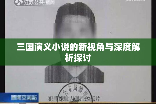 三国演义小说的新视角与深度解析探讨