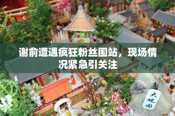 谢俞遭遇疯狂粉丝围站，现场情况紧急引关注