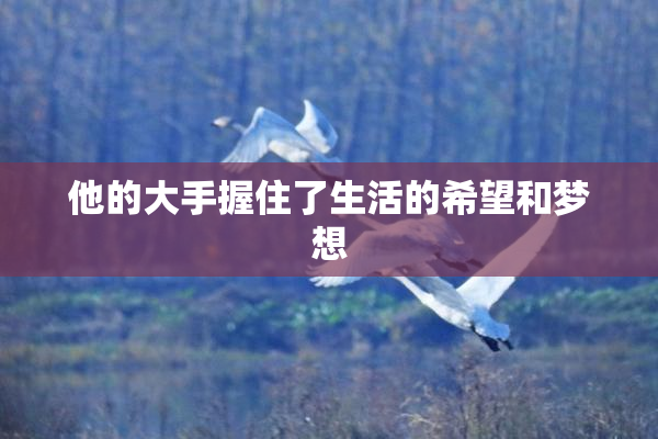 他的大手握住了生活的希望和梦想