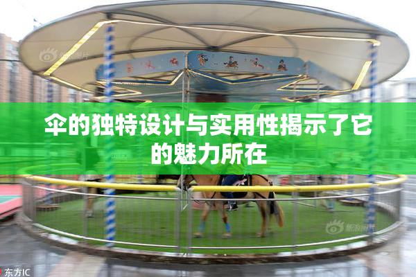 伞的独特设计与实用性揭示了它的魅力所在