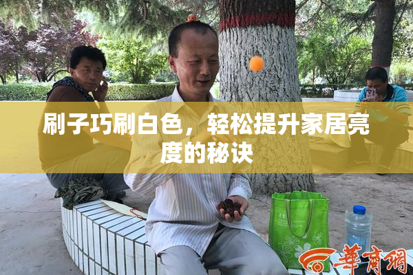 刷子巧刷白色，轻松提升家居亮度的秘诀