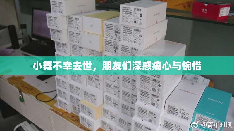 小舞不幸去世，朋友们深感痛心与惋惜