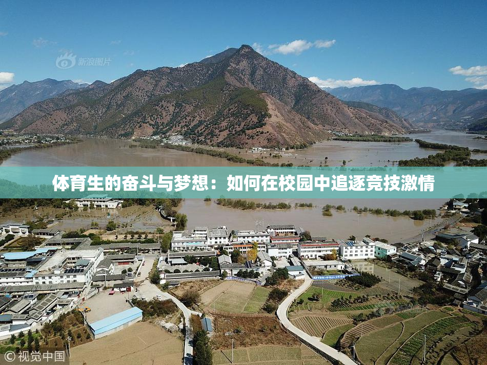 体育生的奋斗与梦想：如何在校园中追逐竞技激情