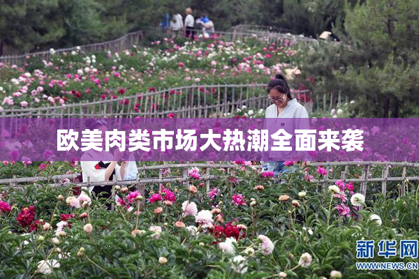欧美肉类市场大热潮全面来袭