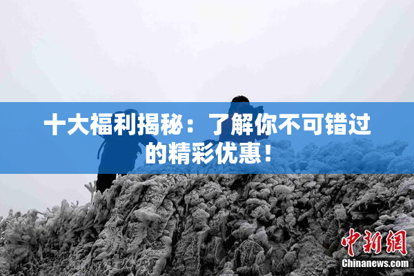 十大福利揭秘：了解你不可错过的精彩优惠！