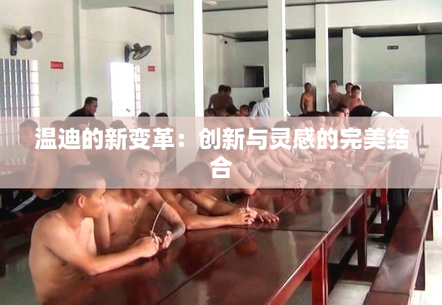 温迪的新变革：创新与灵感的完美结合