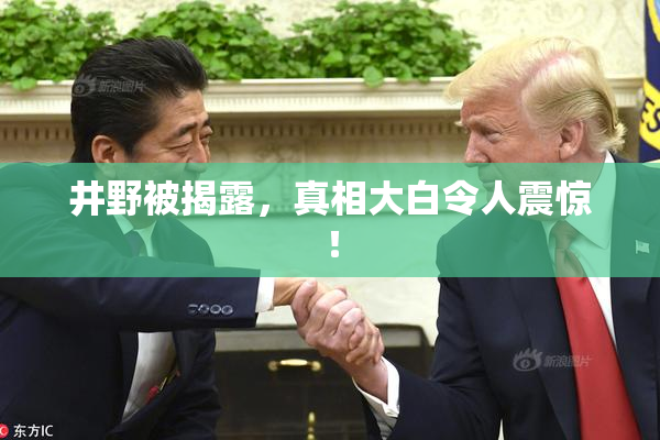 井野被揭露，真相大白令人震惊！