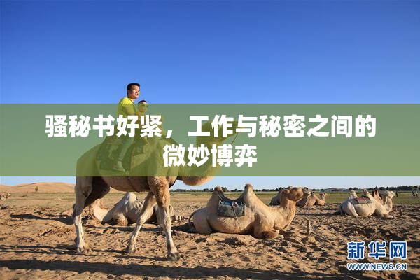 骚秘书好紧，工作与秘密之间的微妙博弈