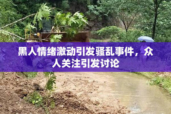 黑人情绪激动引发骚乱事件，众人关注引发讨论