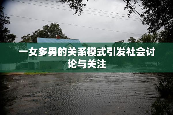 一女多男的关系模式引发社会讨论与关注