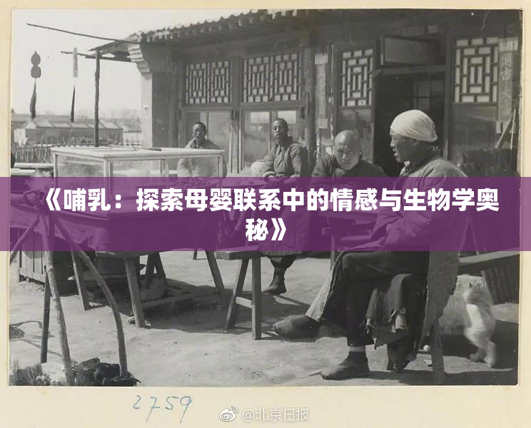 《哺乳：探索母婴联系中的情感与生物学奥秘》