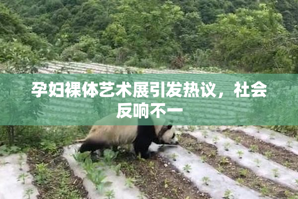 孕妇裸体艺术展引发热议，社会反响不一