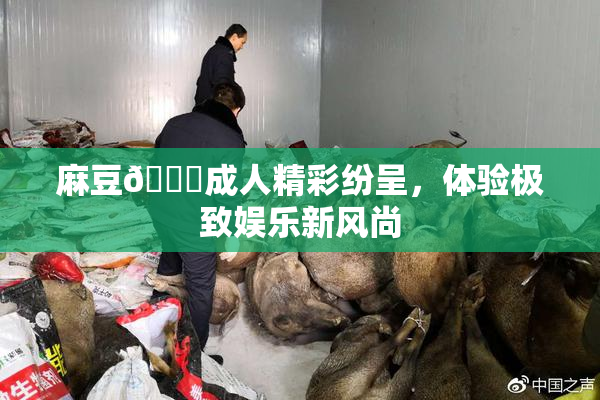 麻豆🔞成人精彩纷呈，体验极致娱乐新风尚