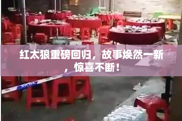 红太狼重磅回归，故事焕然一新，惊喜不断！