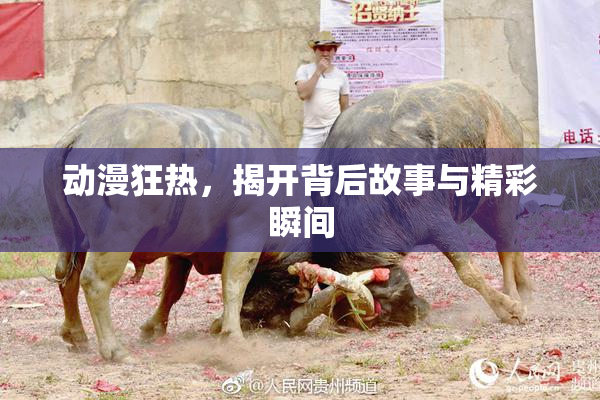动漫狂热，揭开背后故事与精彩瞬间