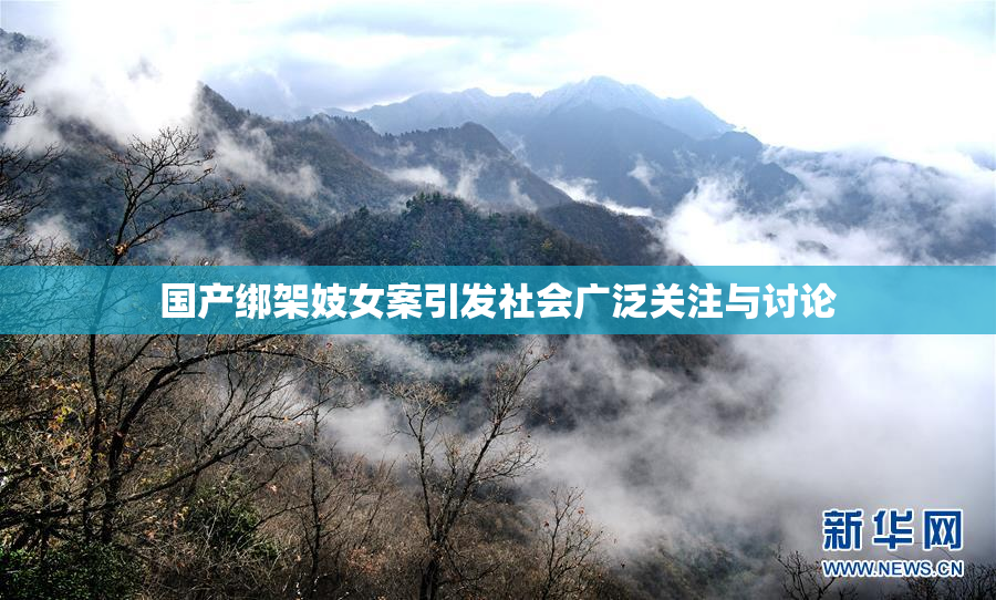 国产绑架妓女案引发社会广泛关注与讨论