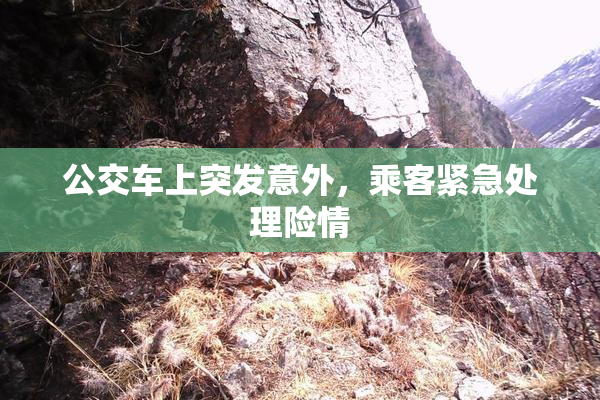 公交车上突发意外，乘客紧急处理险情