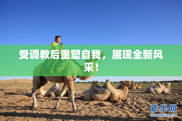 受调教后重塑自我，展现全新风采！