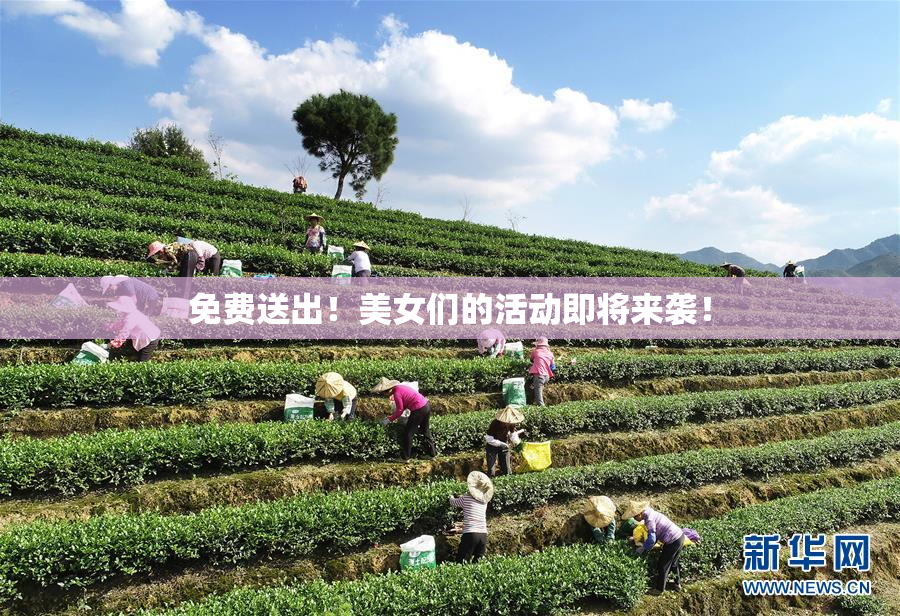 免费送出！美女们的活动即将来袭！
