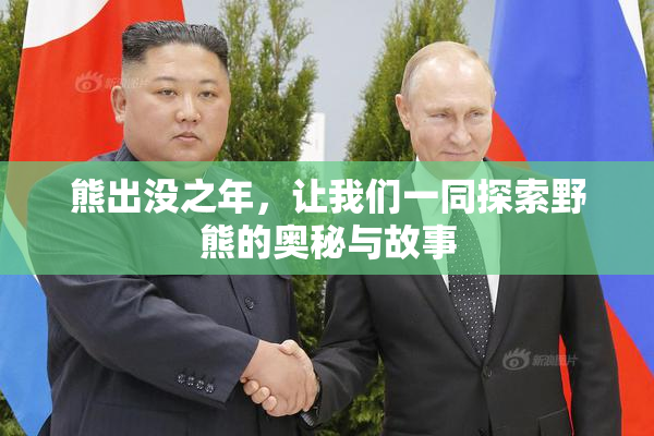 熊出没之年，让我们一同探索野熊的奥秘与故事